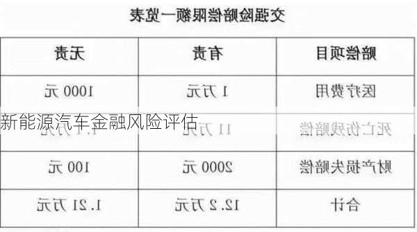 新能源汽车金融风险评估