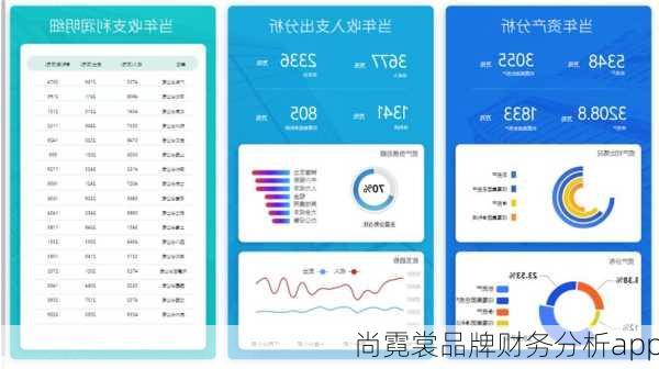 尚霓裳品牌财务分析app