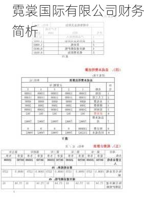 霓裳国际有限公司财务简析