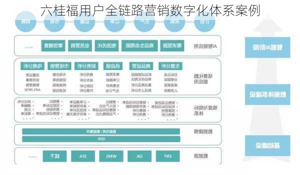 六桂福用户全链路营销数字化体系案例