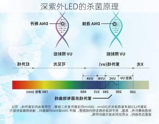 深紫外LED的杀菌原理