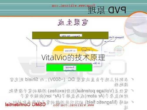 VitalVio的技术原理