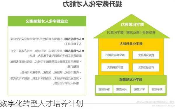 数字化转型人才培养计划