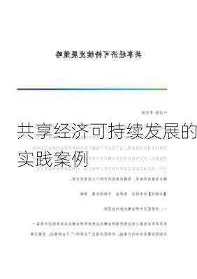 共享经济可持续发展的实践案例