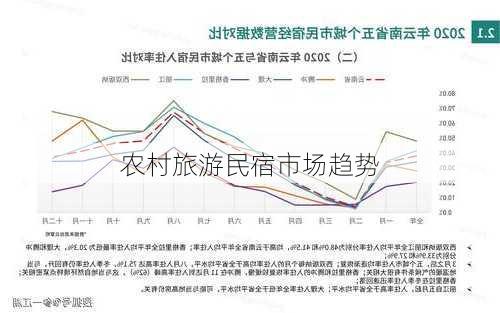 农村旅游民宿市场趋势