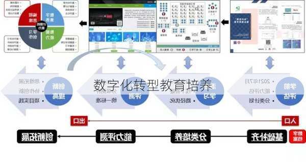 数字化转型教育培养