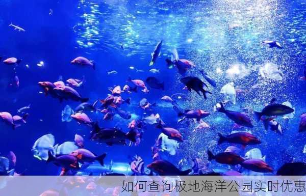 如何查询极地海洋公园实时优惠