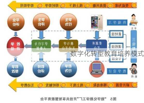 数字化转型教育培养模式