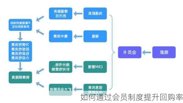 如何通过会员制度提升回购率