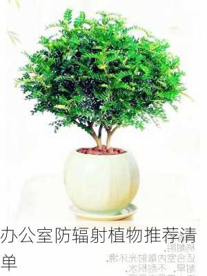 办公室防辐射植物推荐清单