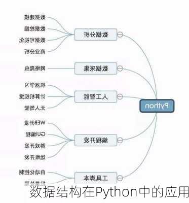 数据结构在Python中的应用