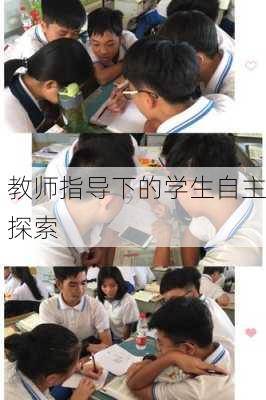 教师指导下的学生自主探索