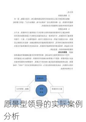 愿景型领导的实际案例分析