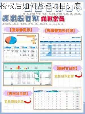 授权后如何监控项目进度