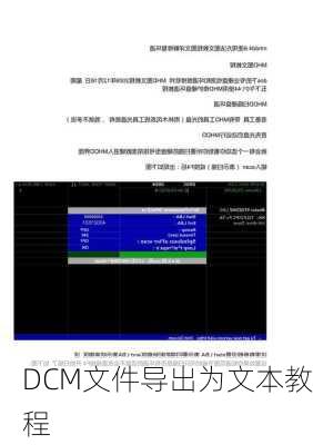 DCM文件导出为文本教程