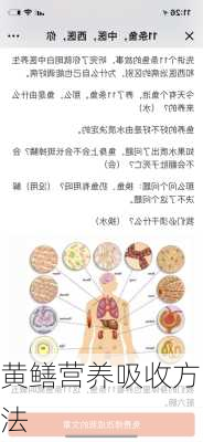 黄鳝营养吸收方法