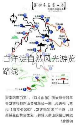 白洋淀自然风光游览路线