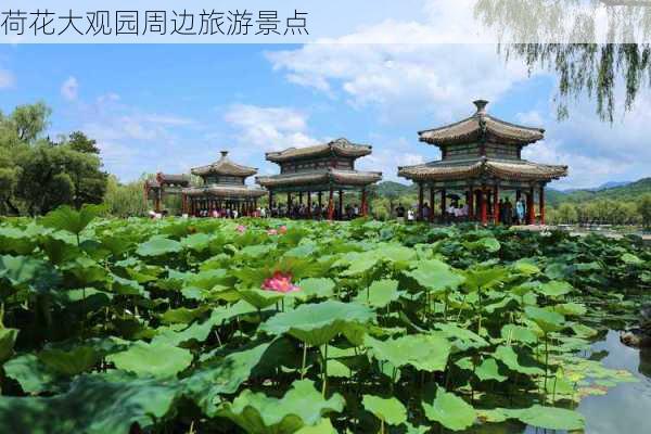 荷花大观园周边旅游景点