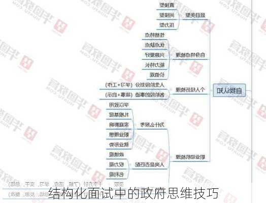 结构化面试中的政府思维技巧