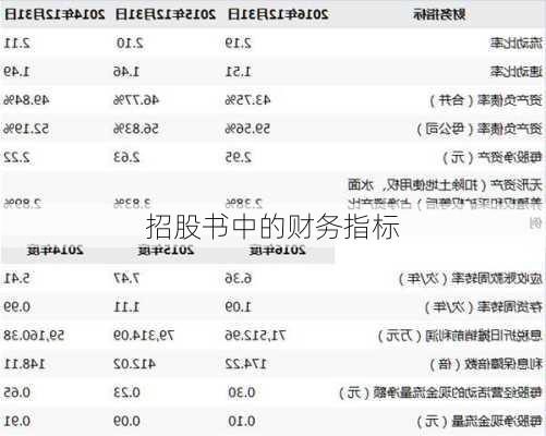 招股书中的财务指标