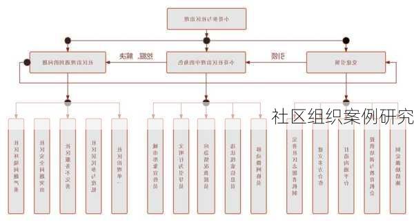 社区组织案例研究