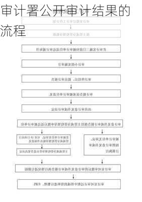 审计署公开审计结果的流程