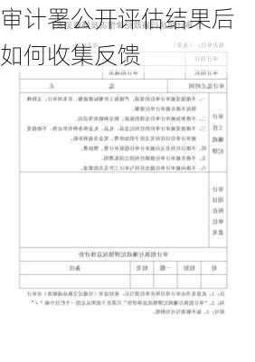 审计署公开评估结果后如何收集反馈