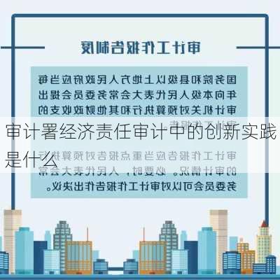 审计署经济责任审计中的创新实践是什么