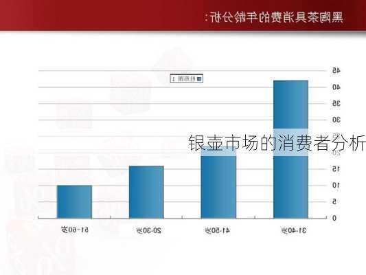 银壶市场的消费者分析
