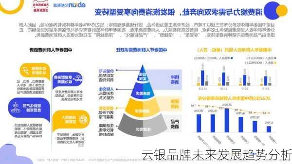 云银品牌未来发展趋势分析