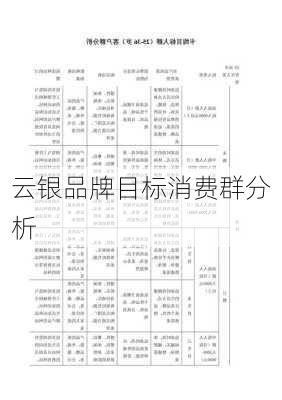 云银品牌目标消费群分析