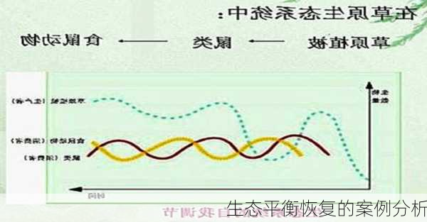 生态平衡恢复的案例分析