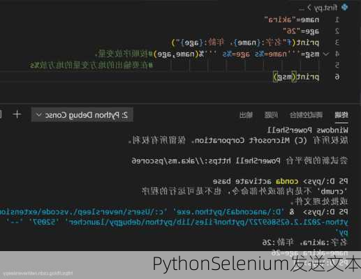 PythonSelenium发送文本