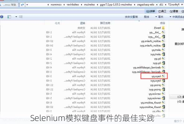 Selenium模拟键盘事件的最佳实践