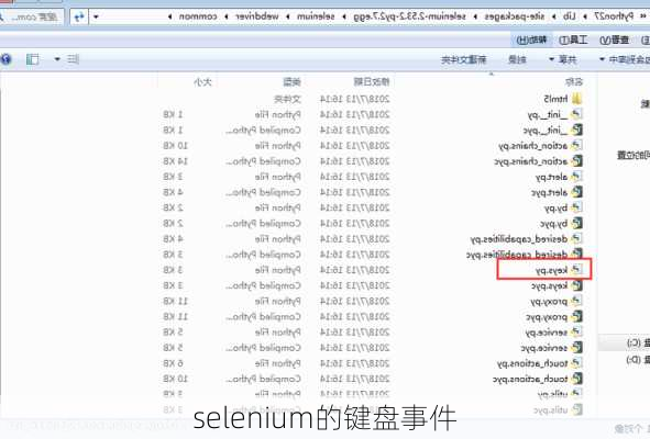 selenium的键盘事件