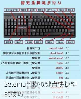 Selenium模拟键盘快捷键的技巧