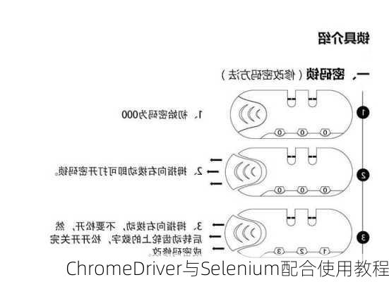 ChromeDriver与Selenium配合使用教程