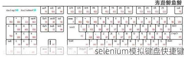 selenium模拟键盘快捷键