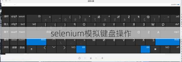selenium模拟键盘操作
