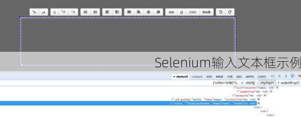 Selenium输入文本框示例