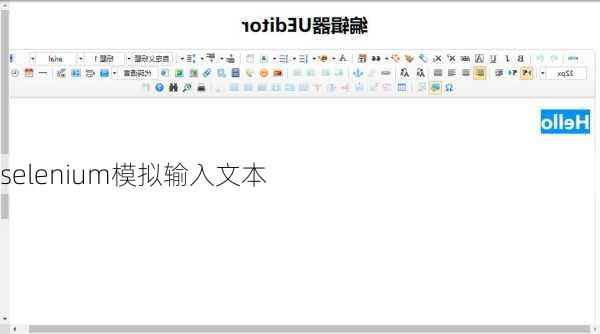 selenium模拟输入文本
