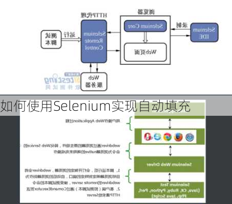 如何使用Selenium实现自动填充