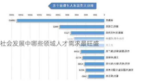 社会发展中哪些领域人才需求最旺盛