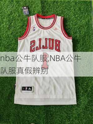 nba公牛队服,NBA公牛队服真假辨别