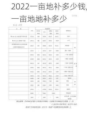 2022一亩地补多少钱,一亩地地补多少