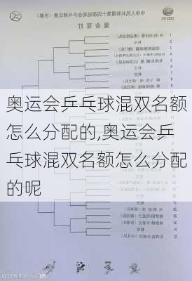 奥运会乒乓球混双名额怎么分配的,奥运会乒乓球混双名额怎么分配的呢