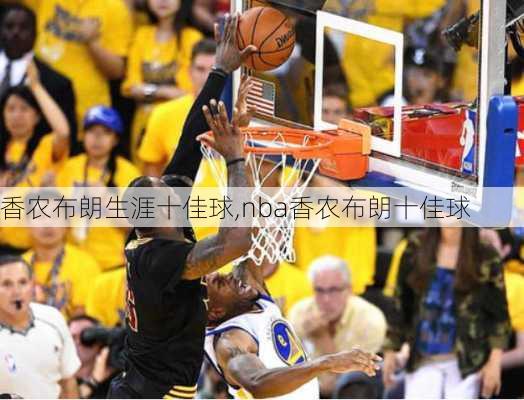 香农布朗生涯十佳球,nba香农布朗十佳球