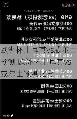 欧洲杯土耳其vs威尔士预测,欧洲杯土耳其vs威尔士预测比分