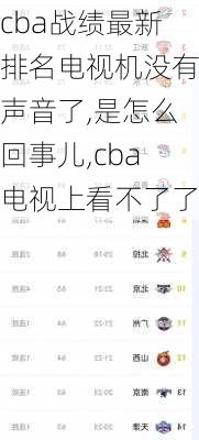 cba战绩最新排名电视机没有声音了,是怎么回事儿,cba电视上看不了了