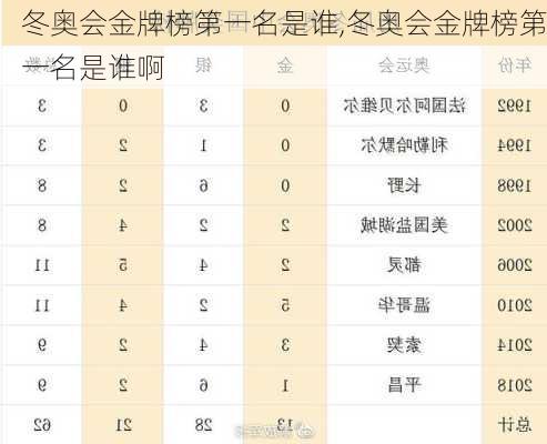 冬奥会金牌榜第一名是谁,冬奥会金牌榜第一名是谁啊